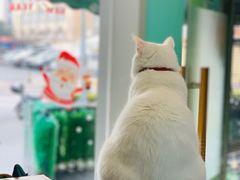 -雨林宠物医院 非犬猫异宠专科