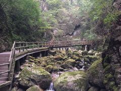 -牛背梁国家森林公园