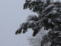 -安吉龙王山风景区