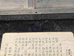 -滨河世纪广场公园