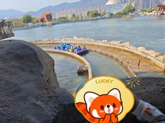 -贵安欢乐世界
