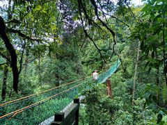 -云南屏边大围山国家公园