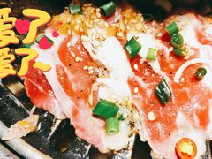 -猫爪爪原切自助烤肉(观音桥阳光世纪店)