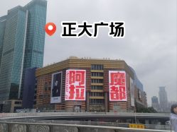 -巍阁高端月子会所