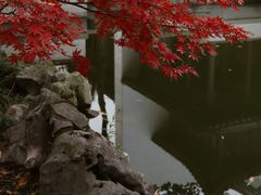 -秋霞圃