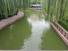 -团结湖公园