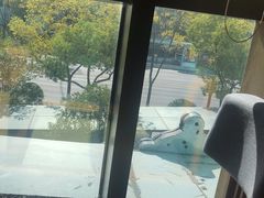 -月龍吟(朝龙汇店)
