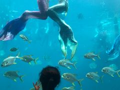 -瑞德姆美人鱼海底演艺主题餐厅(亚龙湾店)