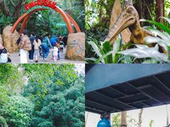 -广州长隆野生动物世界