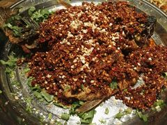 -鸡毛店·川菜(双楠店)