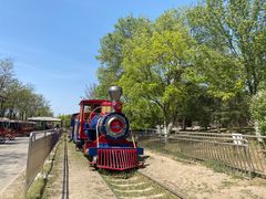 -永定河休闲森林公园