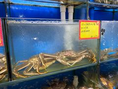 -蚝专家(北滘店)