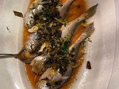 -上海明天广场JW万豪酒店