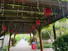 -有喜胶东小馆(超极合生汇太申祥和店)