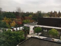 -上海市嘉定区中医医院