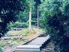 -九龙潭景区
