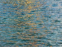 -天鹅湖体育公园