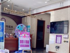 -宠爱国际动物医院· 猫科· 外科·中兽医(长白店)