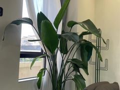 -汇盈·棋牌会所
