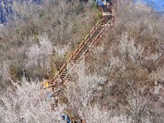 -大岭沟猕猴桃谷风景区
