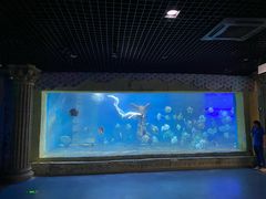 -梦幻海洋王国(吾悦广场张家港店)