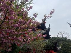 -龙华寺