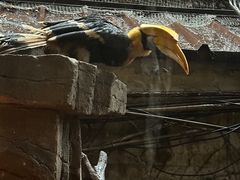 -长鹿旅游休博园