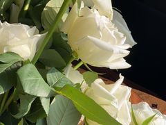 -邻几便利店(新城国际店)