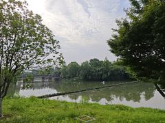 -洋湖国家湿地公园