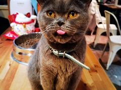-小时光咖啡馆(开森度假森林店)