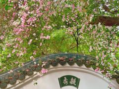 -深圳国际园林花卉博览园