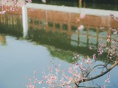 -艺圃
