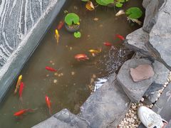 -华夏良子·足道SPA艾灸(三里屯店)
