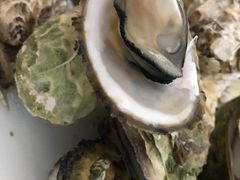 -福鑫源海鲜烧烤