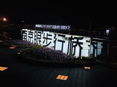 -南京眼步行桥
