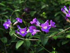 -华南国家植物园-售票处