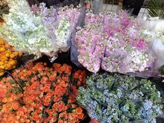 -循礼门鲜花花市(武汉循礼门店)