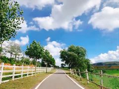 -大连铭湖国际观光牧场