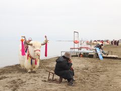 -青海湖国家重点风景名胜区