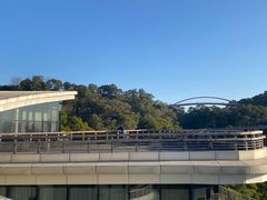 -金鸡山公园