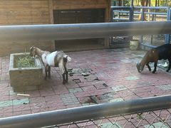 -长白岛森林公园