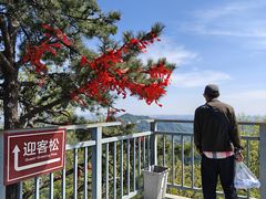 -六里坪国家森林公园