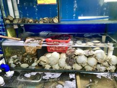 -蚝专家(北滘店)