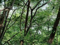 -紫金山山顶公园