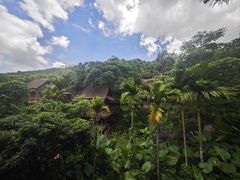 -海南槟榔谷黎苗文化旅游区