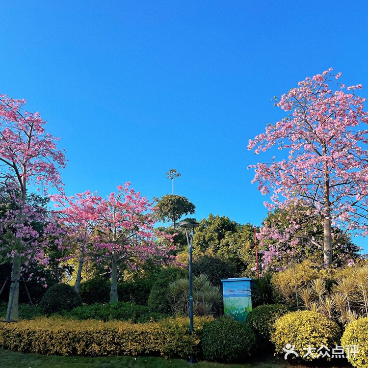❤️〖必打卡经景点----厦门最大湿地公园〗