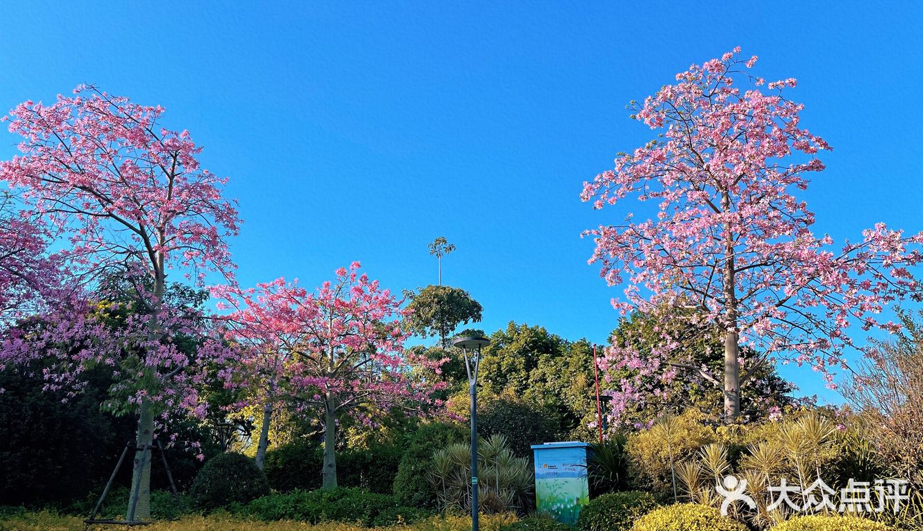 ❤️〖必打卡经景点----厦门最大湿地公园〗