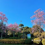 ❤️〖必打卡经景点----厦门最大湿地公园〗