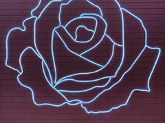 -Dior迪奥(上海世茂广场店)