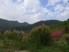 -广州市石门国家森林公园